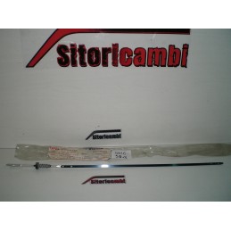ASTA INDICATORE LIVELLO...