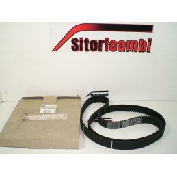 CINGHIA DISTRIBUZIONE...