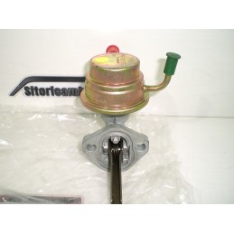 copy of VETRO LUNOTTO VERDE...