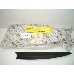 Paracolpi Laterale...