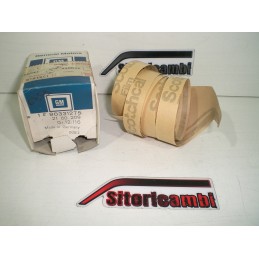 STRISCIA DECORATIVA...