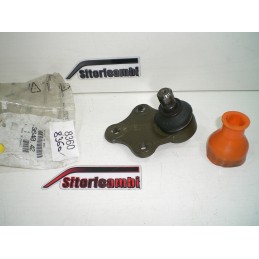 TESTINA BRACCIO assale...