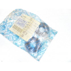 COPPIA PARAOLIO OIL SEAL...