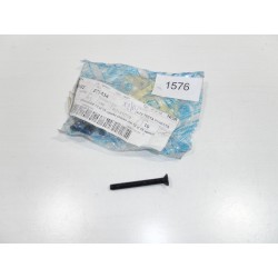 PERNO VITE 6x55 ORIGINALE...