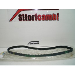 copy of CINGHIA DENTATA...