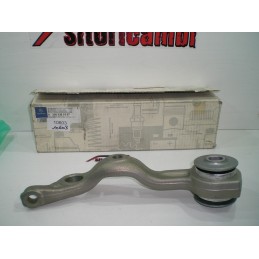 BRACCIO OSCILLANTE...