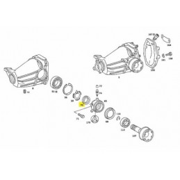 PARAOLIO DIFFERENZIALE...