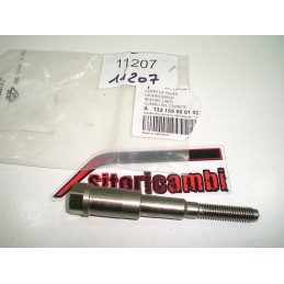 PERNO VITE SUPPORTO...