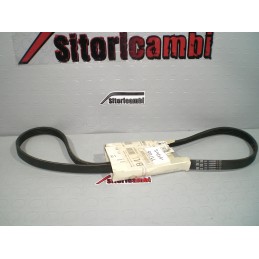 CINGHIA SERVIZI POLY-V...