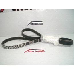 CINGHIA SERVIZI POLY-V...