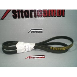 CINGHIA SERVIZI POLY-V...
