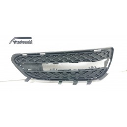 GRIGLIA PARAURTI ANTERIORE...