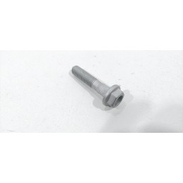 1X VITE BULLONE M12X60...