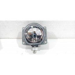 FARETTO FENDINEBBIA...