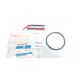 GUARNIZIONE POMPA ACQUA...