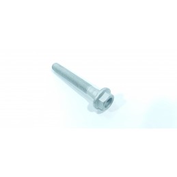 VITE PER BRACCIO OSCILLANTE...