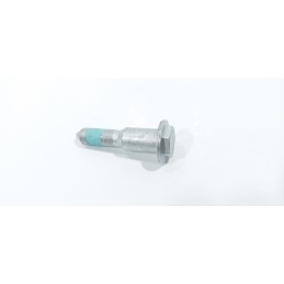 VITE BULLONE BRACCIO...