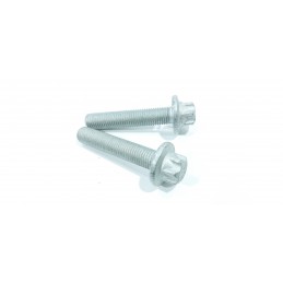 2X VITE TESTA A 12 PUNTI...