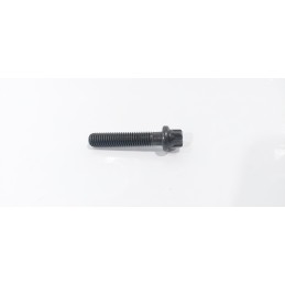 VITE TORX M8 X 41 BIELLA...