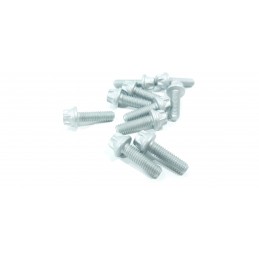 10X VITE TESTA A 12 PUNTI...