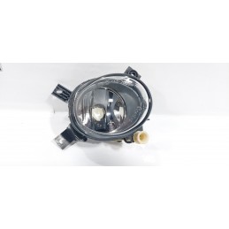 FARETTO FENDINEBBIA ANT...