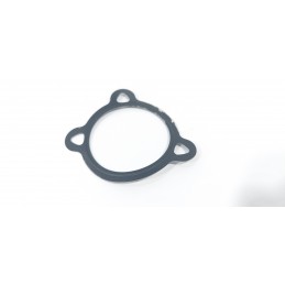 GUARNIZIONE VALVOLA EGR...