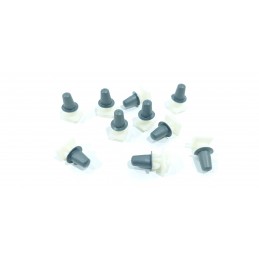 10X CLIP MODANATURE...