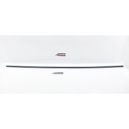 PROFILO INSERTO MODANATURA...