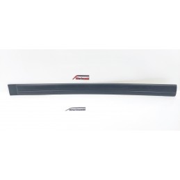 PROTEZIONE MODANATURA ANT...