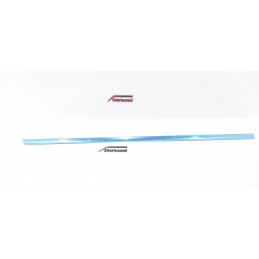 PROTEZIONE MODANATURA...