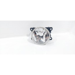 FARETTO FENDINEBBIA SX E DX...