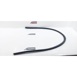 GUARNIZIONE MODANATURA...