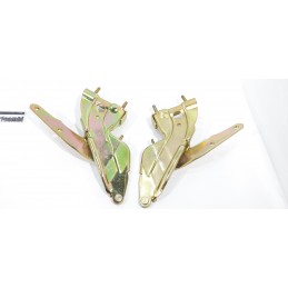 CERNIERA COFANO DX E SX...