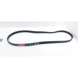 CINGHIA SERVIZI ADATTO A...