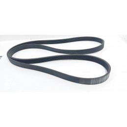 CINGHIA SERVIZI ORIGINALE...