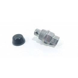 copy of FANALE FRECCIA...