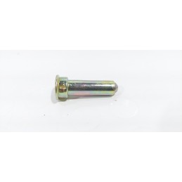 copy of FANALE FRECCIA...