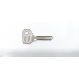 copy of FANALE FRECCIA...