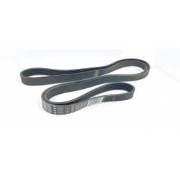 CINGHIA SERVIZI ORIGINALE...