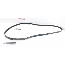 CINGHIA SERVIZI ORIGINALE...