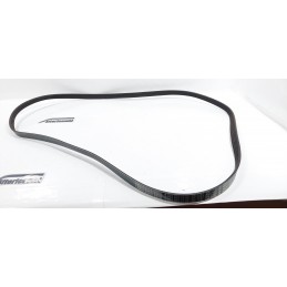 CINGHIA SERVIZI ORIGINALE...