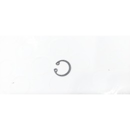 copy of FANALE FRECCIA...